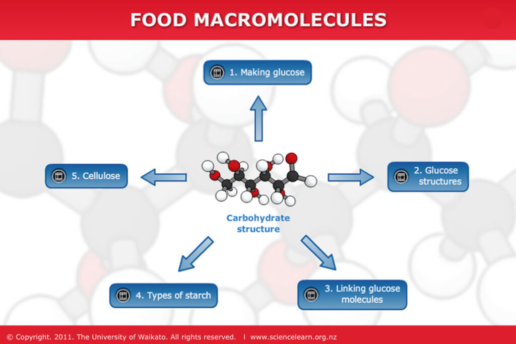 what uses energy to make their own food